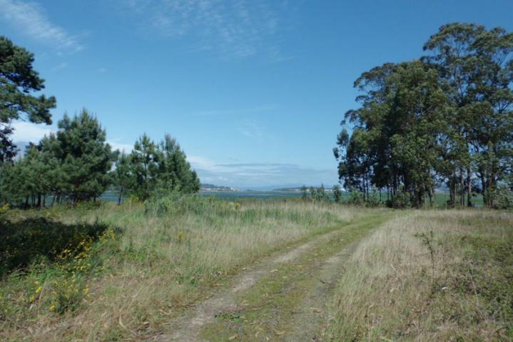 Chalet en venta en Sanxenxo, Noalla photo 0