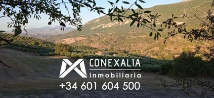 Chalet en venta en Algodonales, Algodonales photo 0