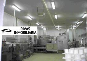 Local comercial en venta en Luque, Luque photo 0