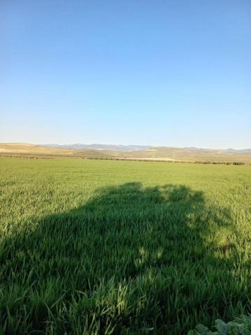 Chalet en venta en Peal de Becerro, Peal De Becerro photo 0