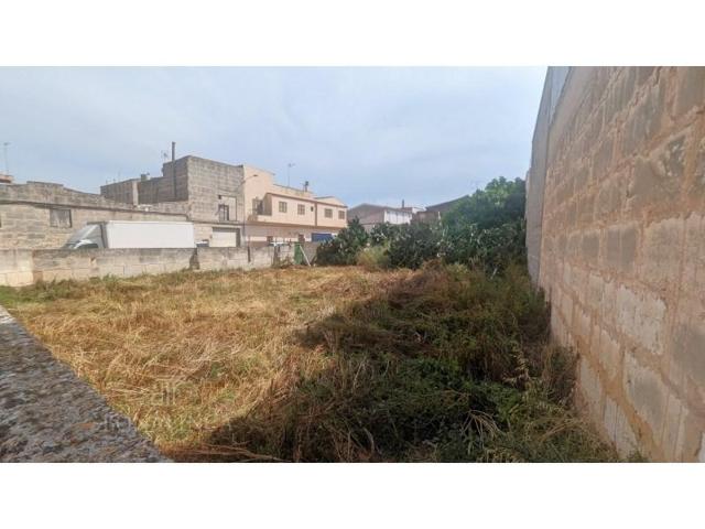 Terreno en venta en Manacor photo 0