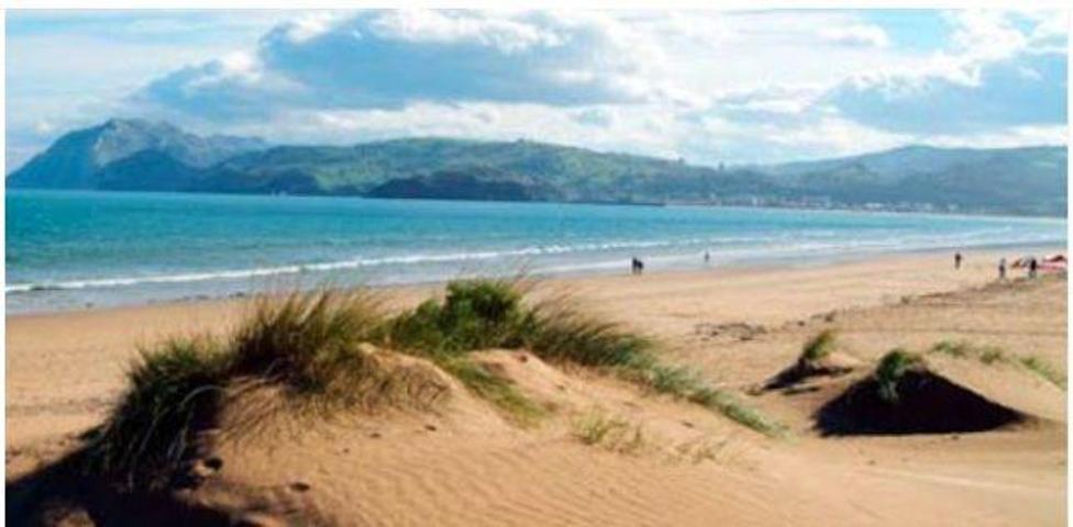 Local comercial en venta en Laredo, Centro photo 0