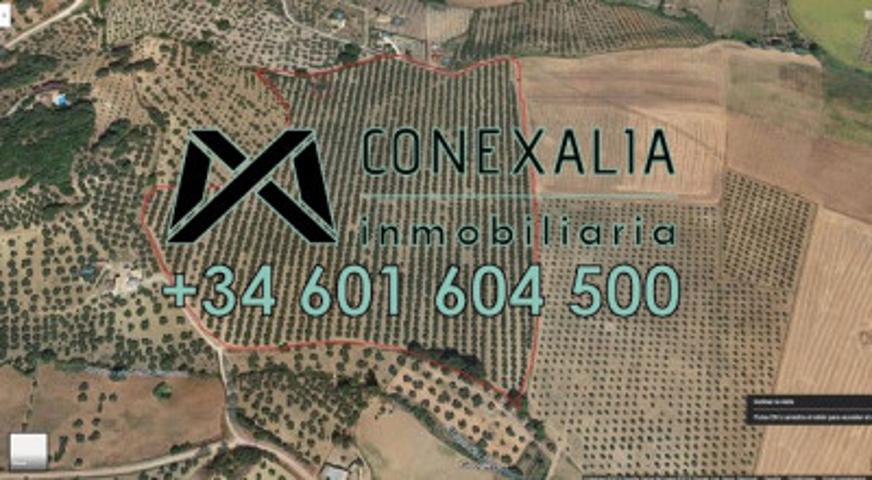 Chalet en venta en Olvera, Olvera photo 0