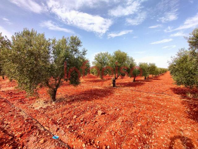 Chalet en venta en Valdepeñas, Carretera Torre Nueva photo 0