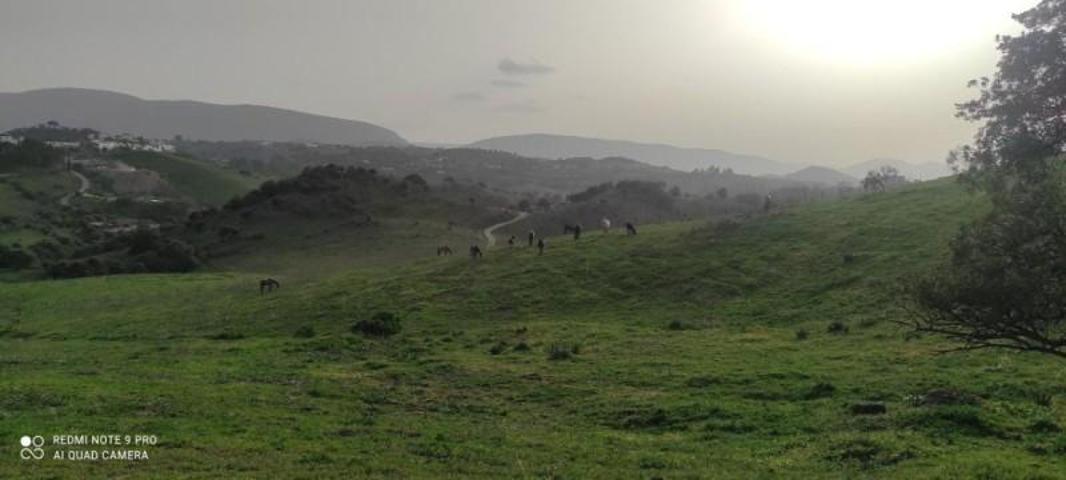 Chalet en venta en Algar, Algar photo 0