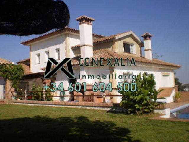 Chalet en venta en Setenil de las Bodegas, Setenil photo 0