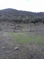 Chalet en venta en Aracena, PROVINCIA HUELVA photo 0