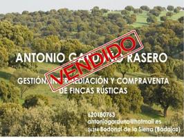 Chalet en venta en Llerena, Llerena photo 0