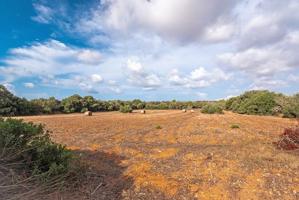 Terreno en venta en Ses Salines, Ses Salines photo 0
