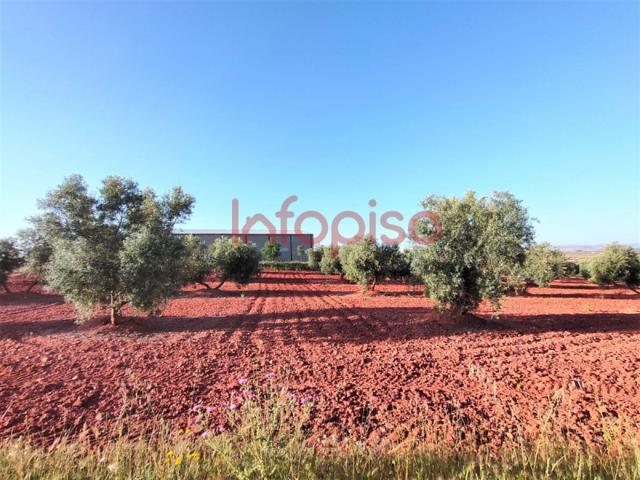 Chalet en venta en Valdepeñas, Carretera Torre Nueva photo 0