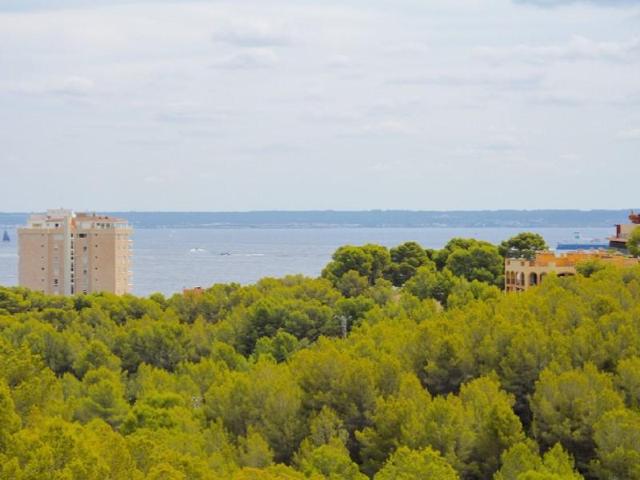 Edificio en venta en Calvia photo 0