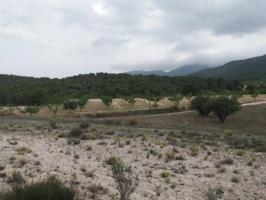 Terreno en venta en Castalla, Castalla photo 0