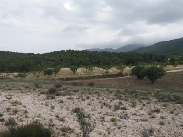 Terreno en venta en Castalla, Castalla photo 0