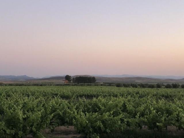 Chalet en venta en Tobarra, Tobarra photo 0