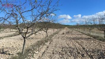 Chalet en venta en Tobarra, Tobarra photo 0