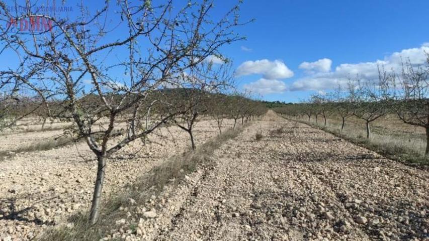 Chalet en venta en Tobarra, Tobarra photo 0