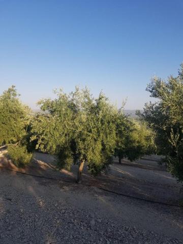 Chalet en venta en Sabiote, Sabiote photo 0