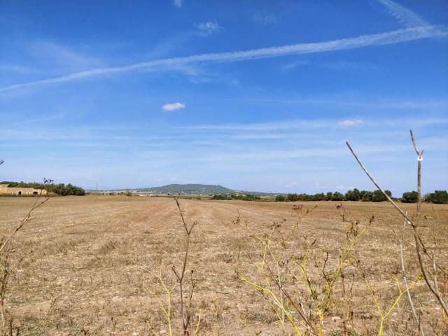 Terreno en venta en Manacor photo 0