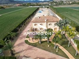 Chalet en venta en Aspe, Aspe photo 0