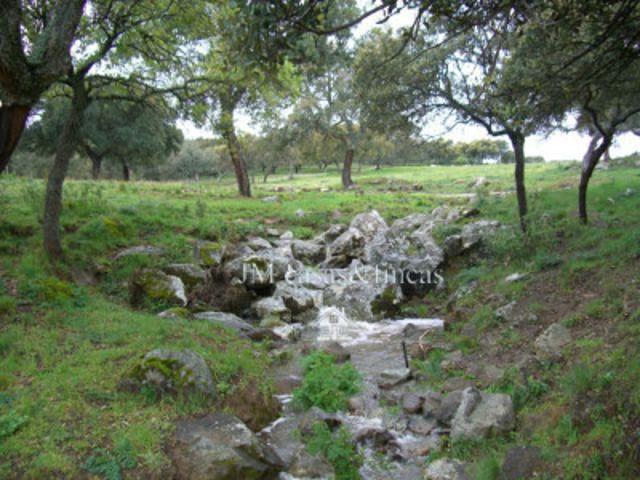 Chalet en venta en Ronda, Ronda photo 0