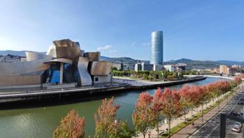 Piso en venta en Bilbao, Campo Volantin photo 0