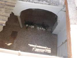 Casa en venta en Sanlúcar de Barrameda, Centro photo 0