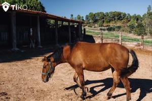 Terreno en venta en Rubí, Rubí photo 0