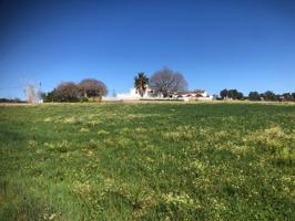 Casa en venta en Tordera photo 0