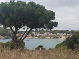 Terreno en venta en Palamós, Palamós photo 0