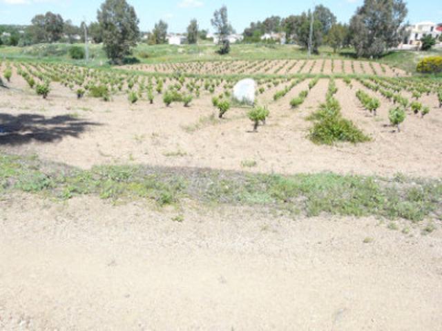 Chalet en venta en Almendralejo, Carretera Badajoz photo 0