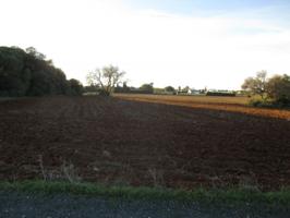 Chalet en venta en Conil de la Frontera, Carretera del Muelle photo 0