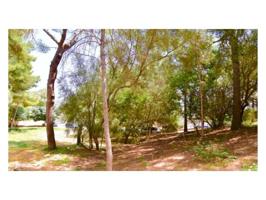 Terreno en venta en Calvia, Cas Català photo 0