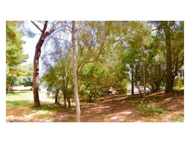 Terreno en venta en Calvia, Cas Català photo 0