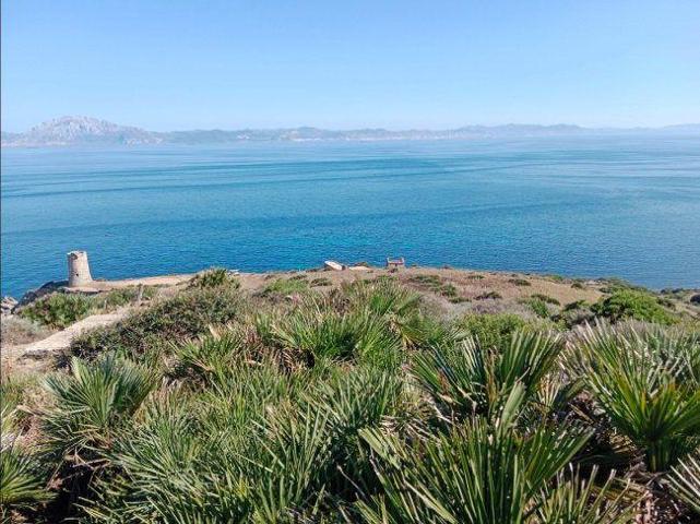 Terreno en venta en Tarifa, Tarifa photo 0