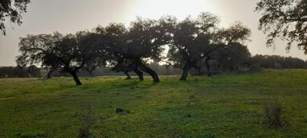 Chalet en venta en Zafra, Zafra photo 0
