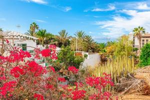 Adosada en venta en Adeje photo 0