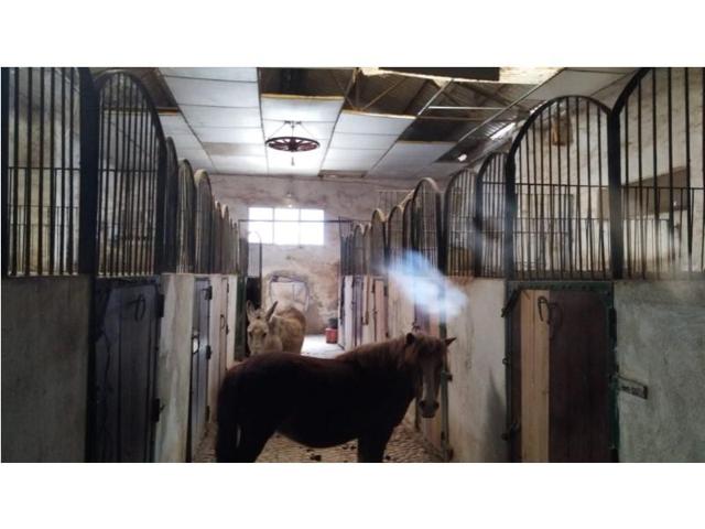 Chalet en venta en Yecla photo 0