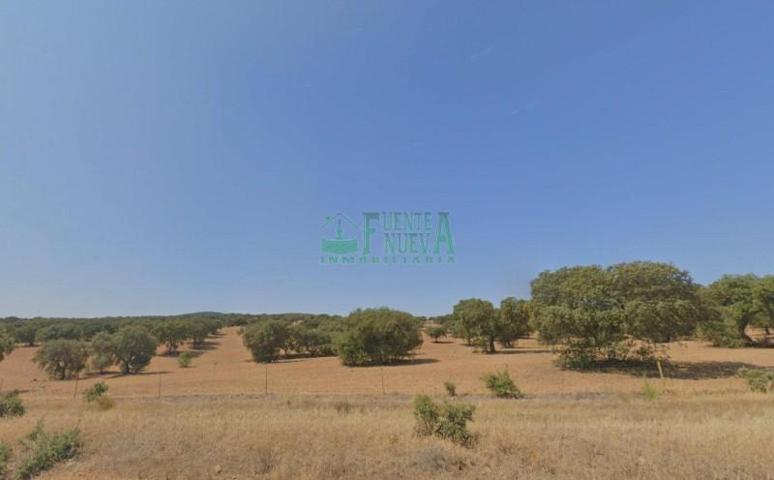 Chalet en venta en Campillo de Llerena, Campillo De Llerena photo 0