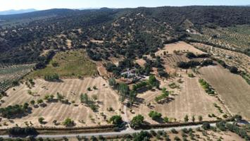 Chalet en venta en Setenil de las Bodegas, Setenil photo 0