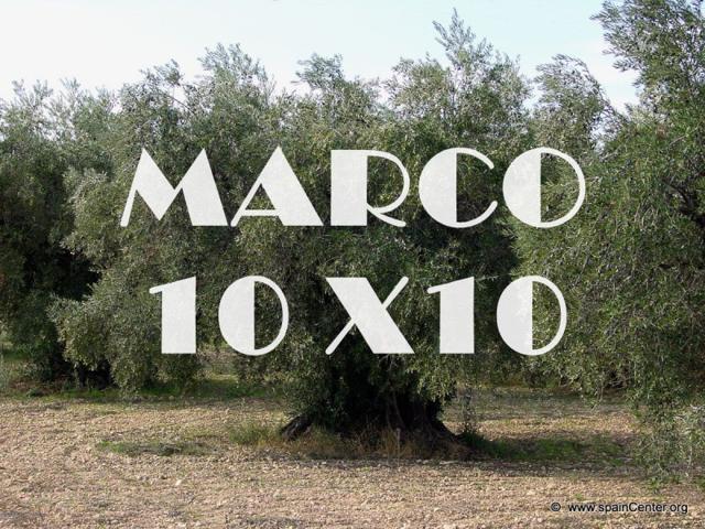 Chalet en venta en Linares, Linares photo 0