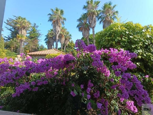 Terreno en venta en Alella, Alella photo 0