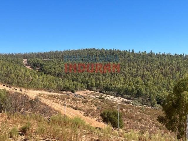 Chalet en venta en Don Benito photo 0