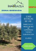 Chalet en venta en Quesada, Quesada photo 0