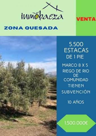 Chalet en venta en Quesada, Quesada photo 0