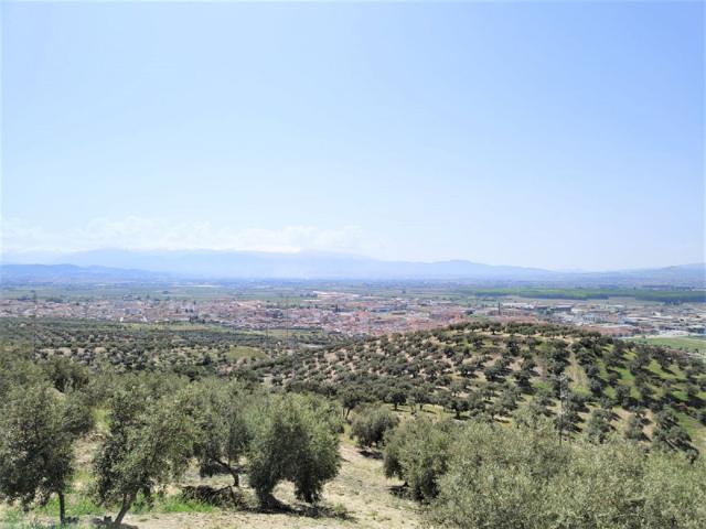 Chalet en venta en Atarfe, Atarfe photo 0