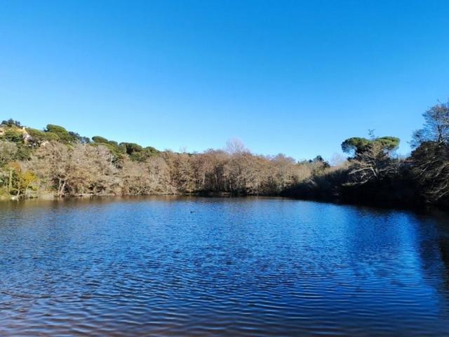 Terreno en venta en Vidreres photo 0