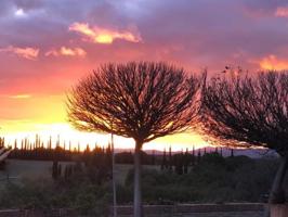 Chalet en venta en Sevilla La Nueva, Sevilla La Nueva photo 0