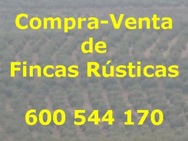 Chalet en venta en Jaén, Afueras de Jaen photo 0