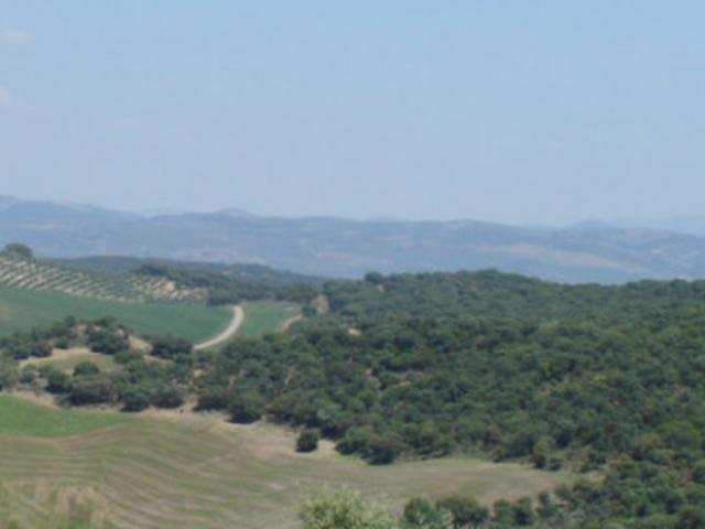 Terreno en venta en Loja, Urbanizaciones photo 0