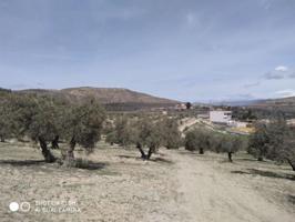 Terreno en venta en Escúzar, La Malaha photo 0